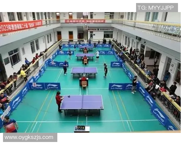 杭州乒乓球队在杯赛中的比赛经验与表现分析与总结