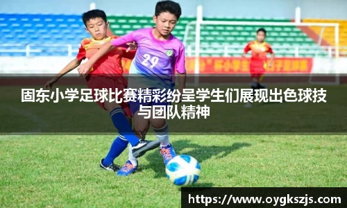 k1体育