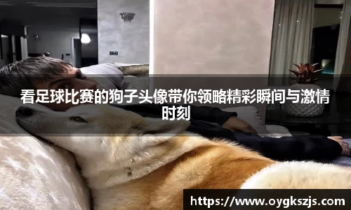 k1体育